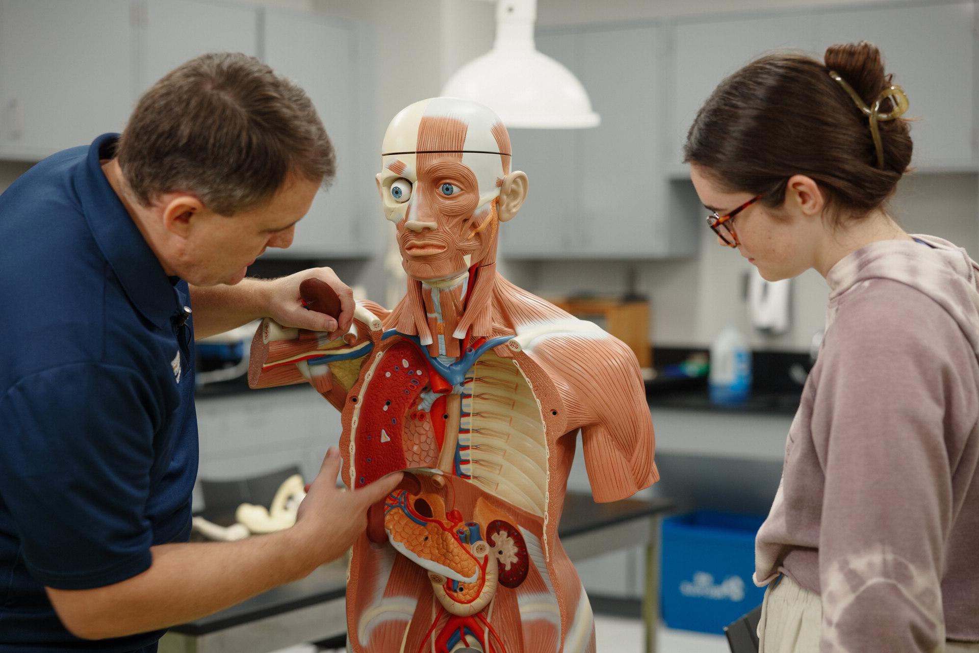 A group of doctors going over some x-ray scans